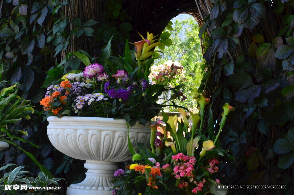 插花艺术  