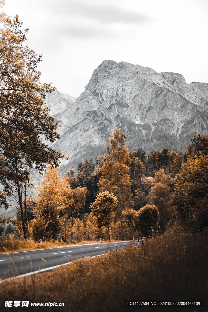 山林道路
