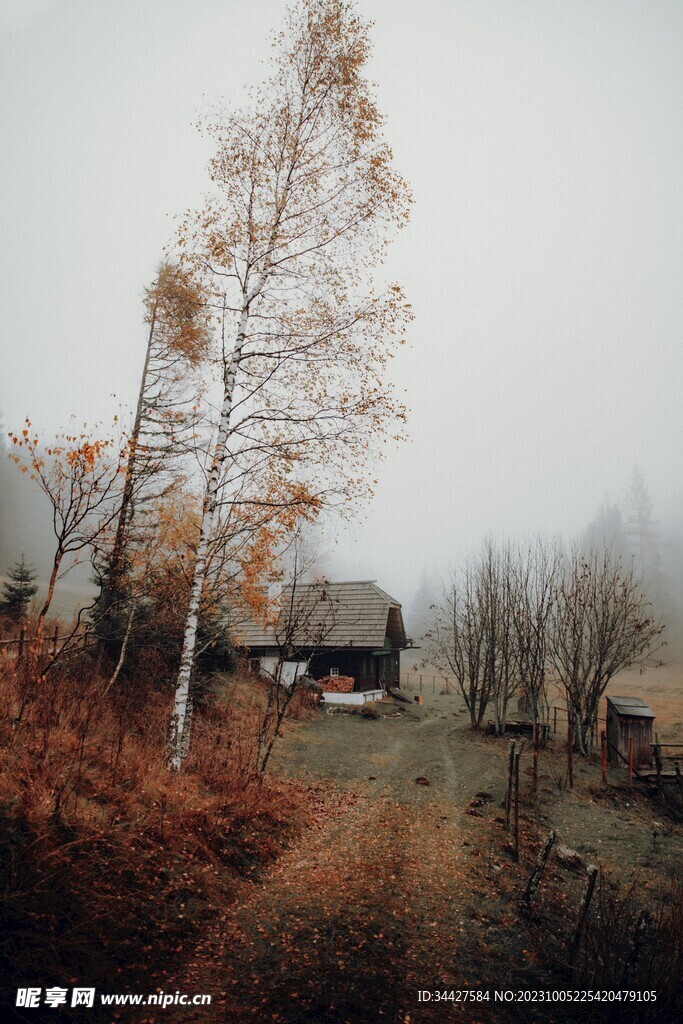 山间木屋
