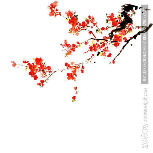 一枝梅花