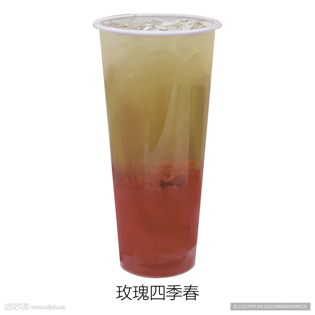 玫瑰四季春