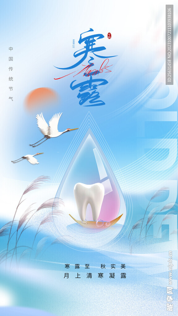 寒露海报