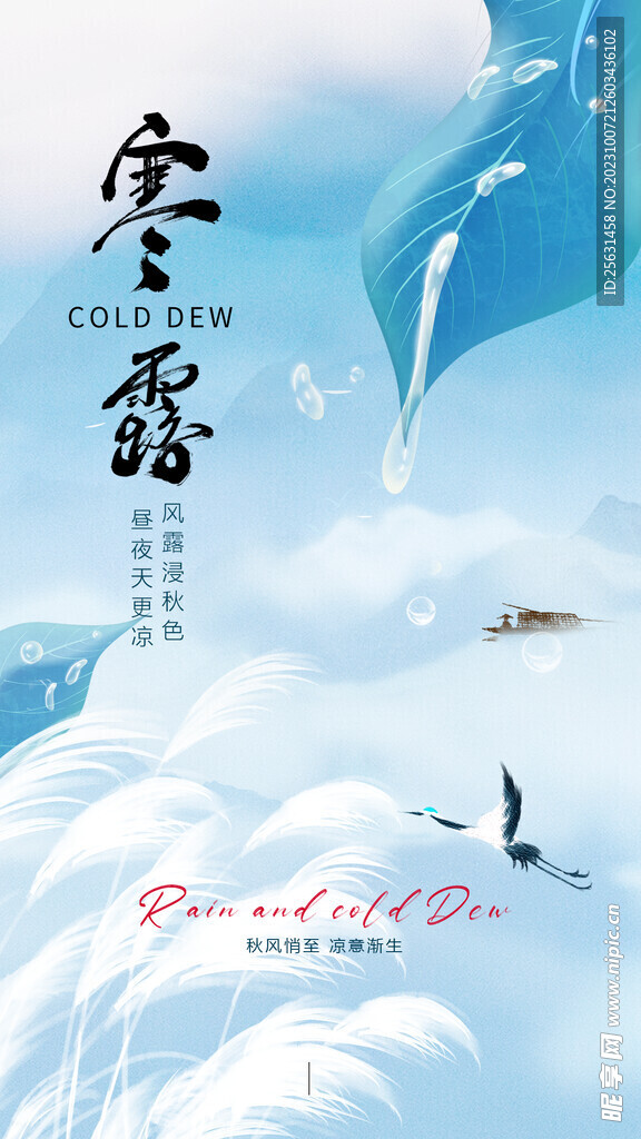 寒露海报