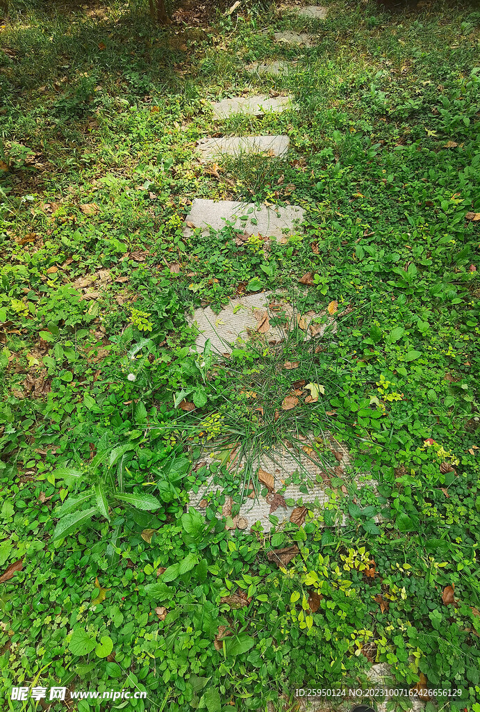 石路