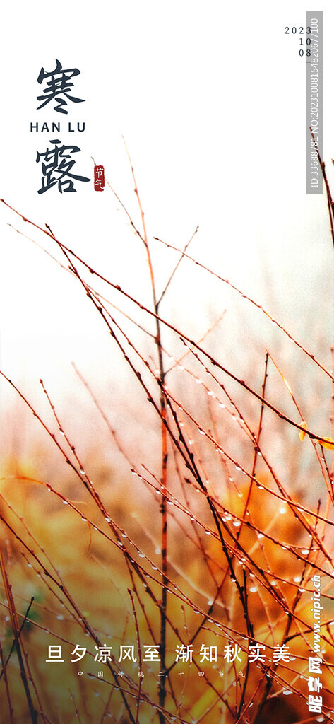 寒露节气手机海报