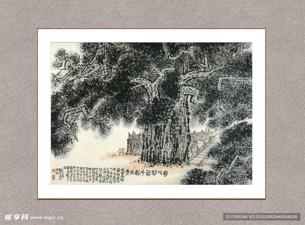 榕树长青