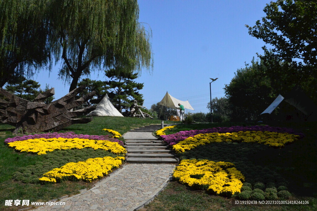 公园风景 