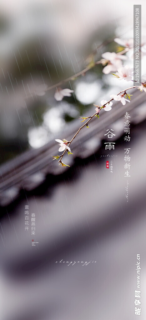 谷雨海报  
