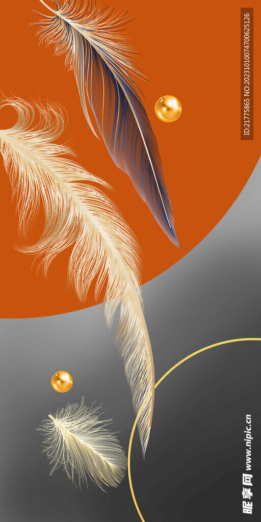 羽毛装饰画