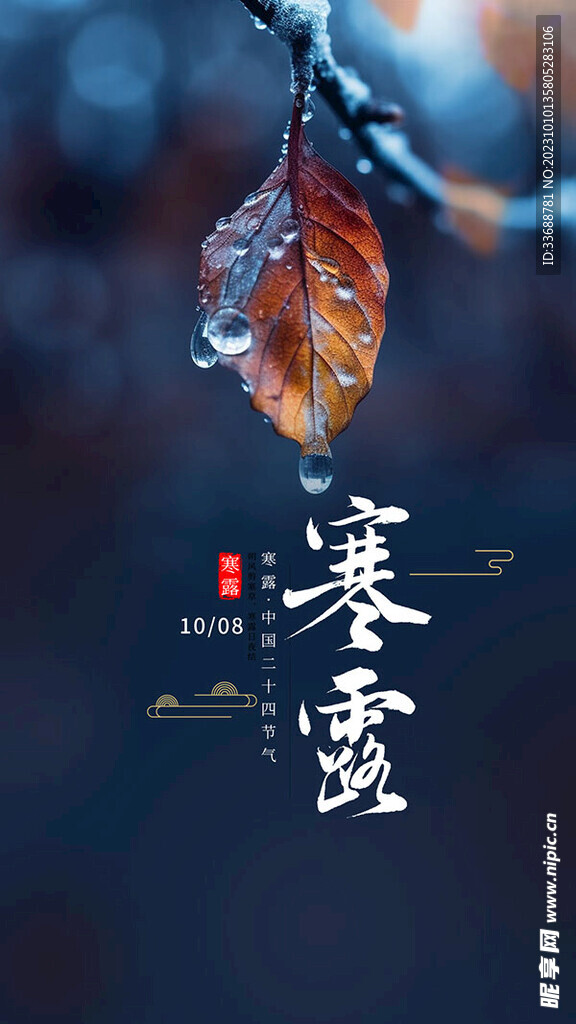 寒露时节手机海报