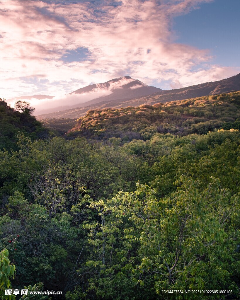 山林和山脉风景