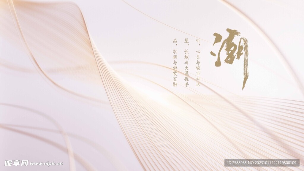 高级感主视觉