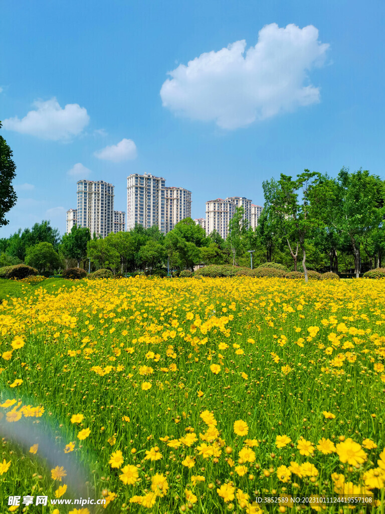 城市高楼绿化花海