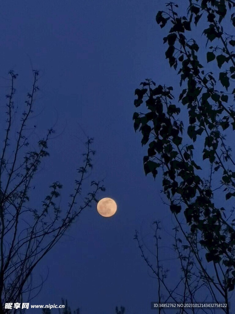 夜晚