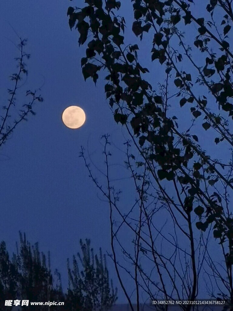 夜空
