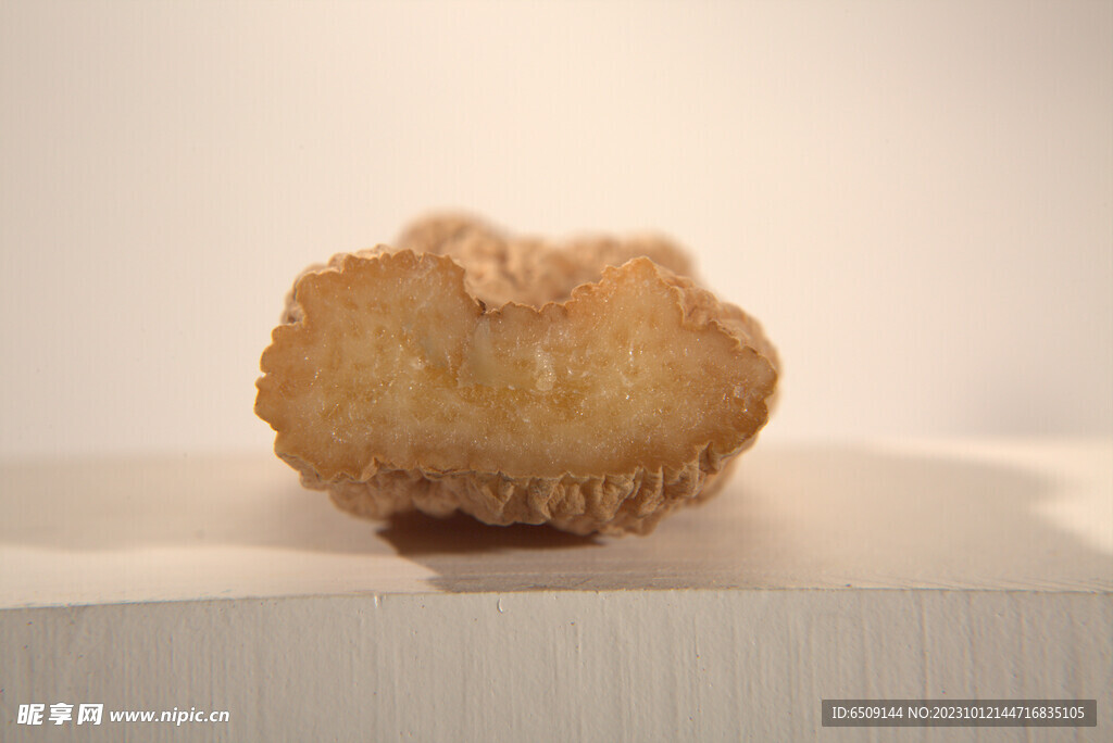 参茸天麻横截面特写