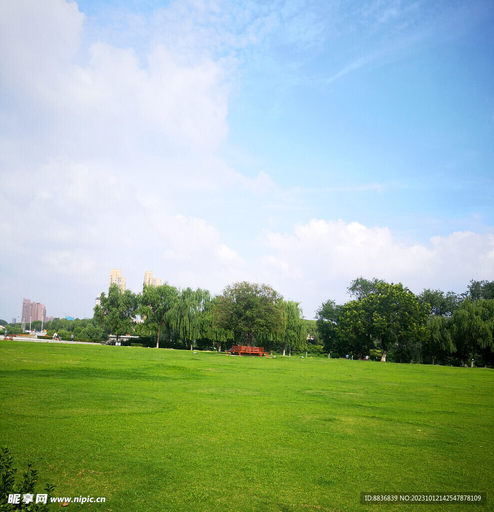 蓝天白云草地
