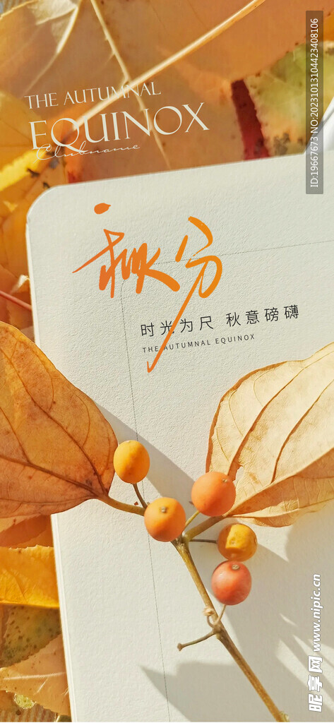 秋分海报  