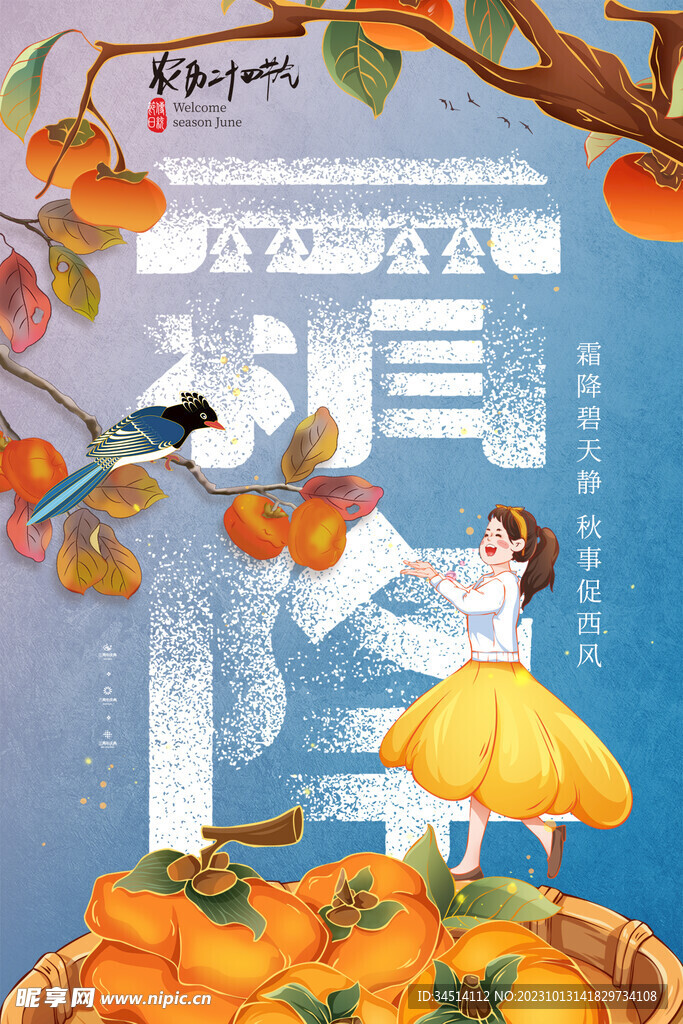 霜降 海报