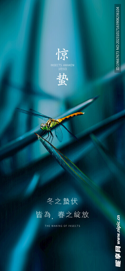 惊蛰海报 