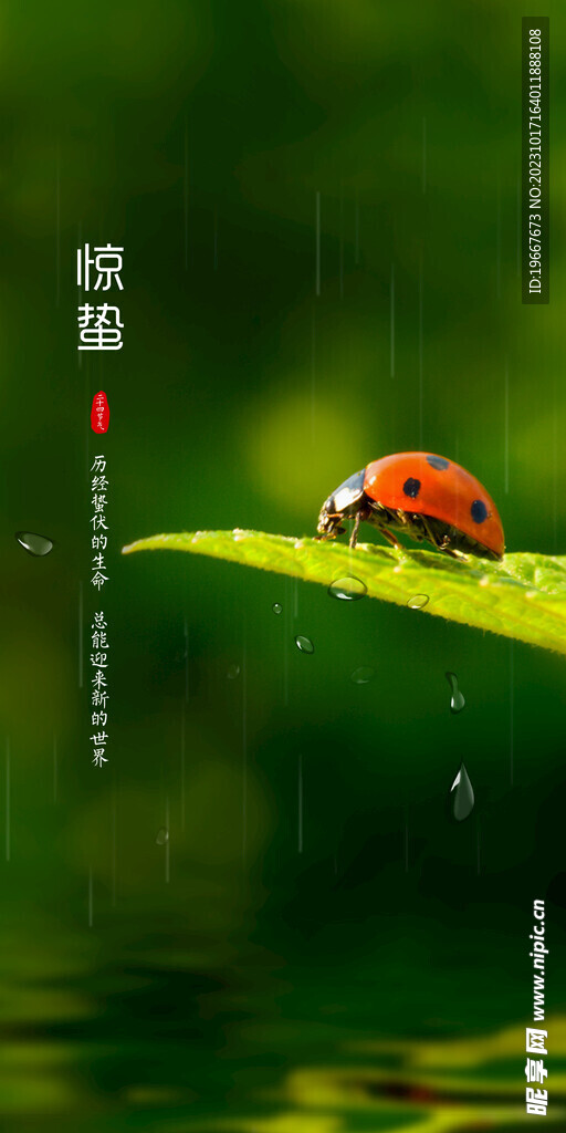 惊蛰海报  