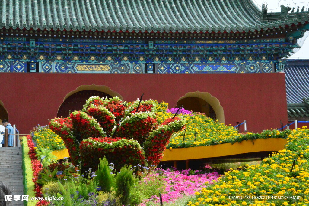 公园风景