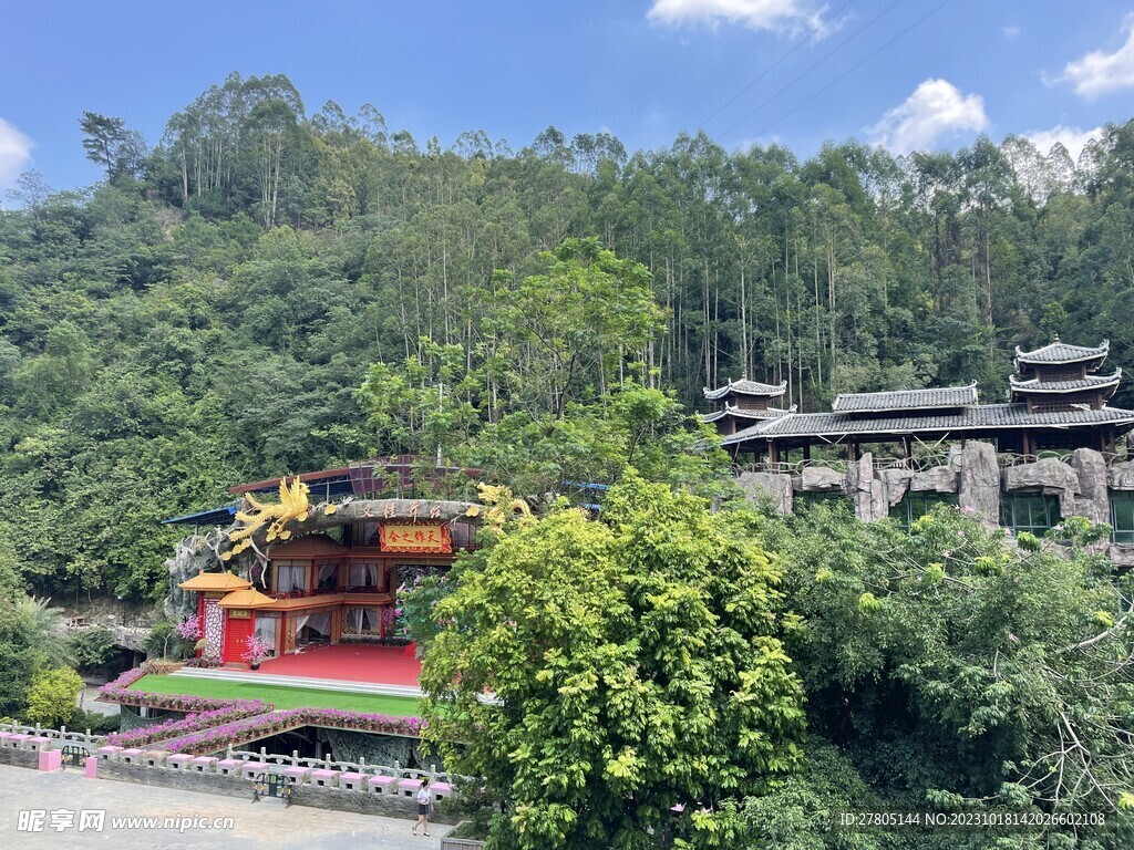 树木美景
