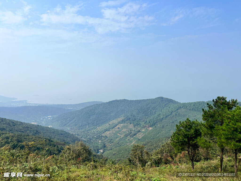 山景