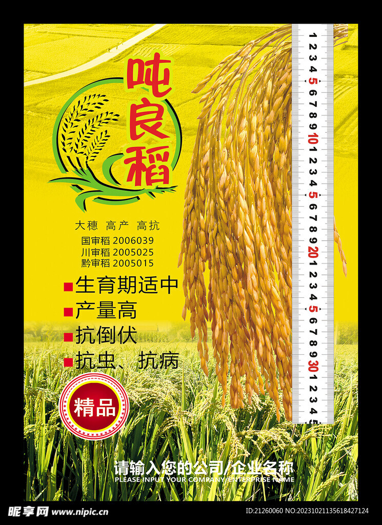 水稻海报