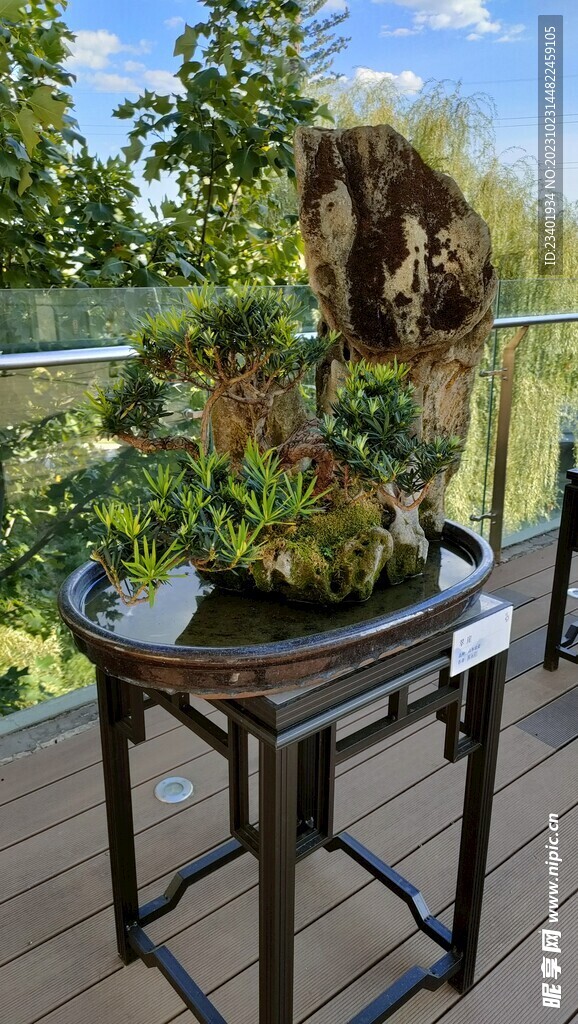 川派盆景山水盆景