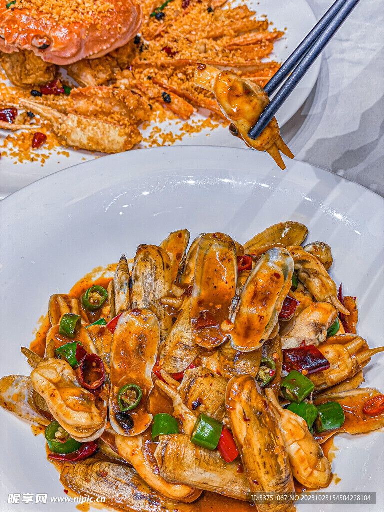 蛏子蛏子王海鲜贝壳类