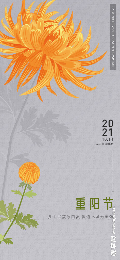 重阳节