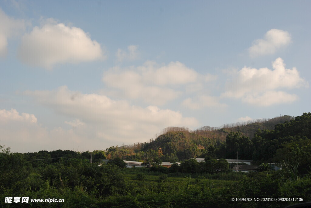 郊野