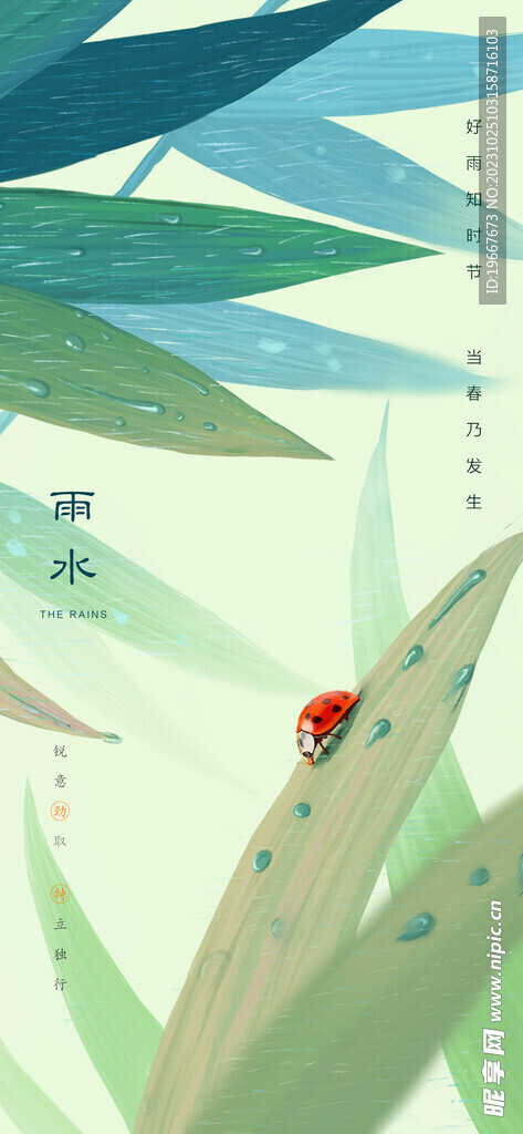雨水海报  