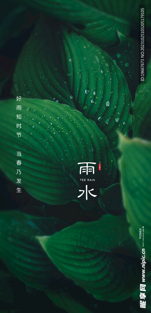 雨水海报  