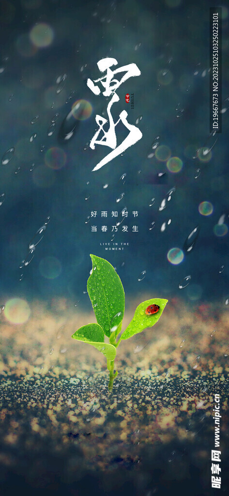 雨水海报  