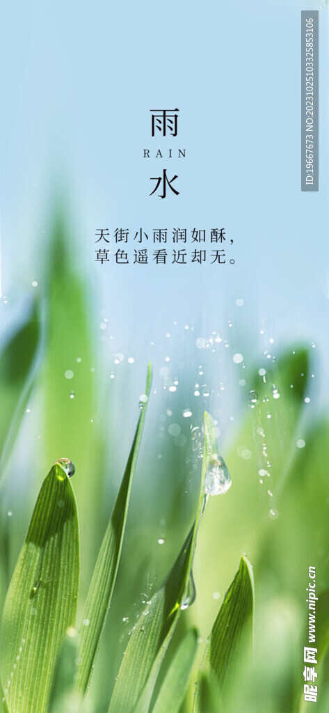 雨水海报 