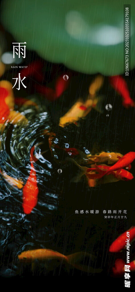 雨水海报  