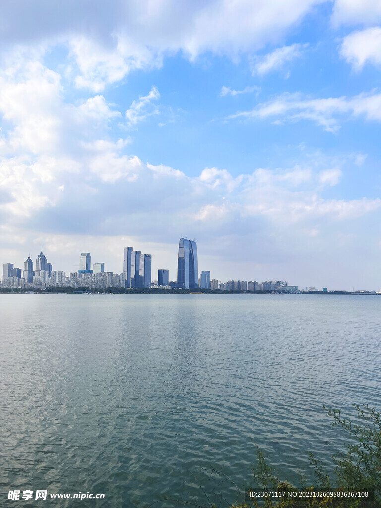 城市