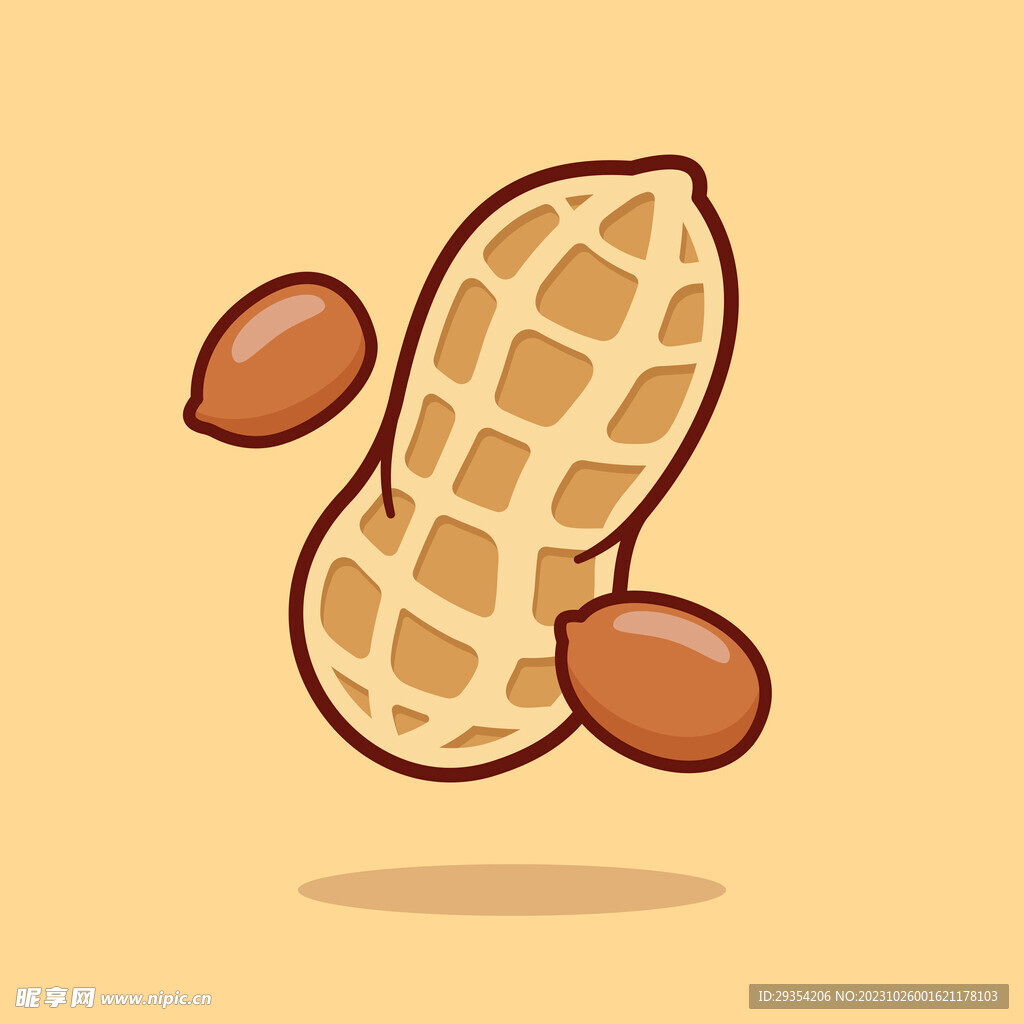 矢量花生图片