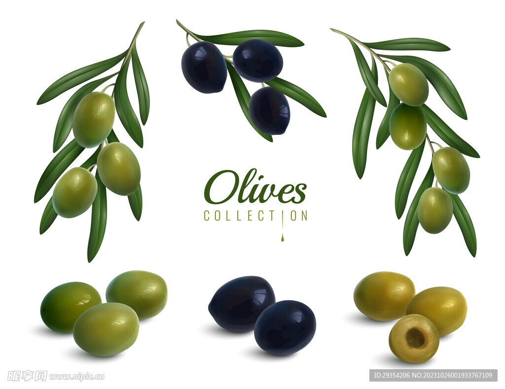 橄榄图片