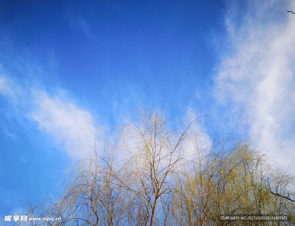 秋季天空
