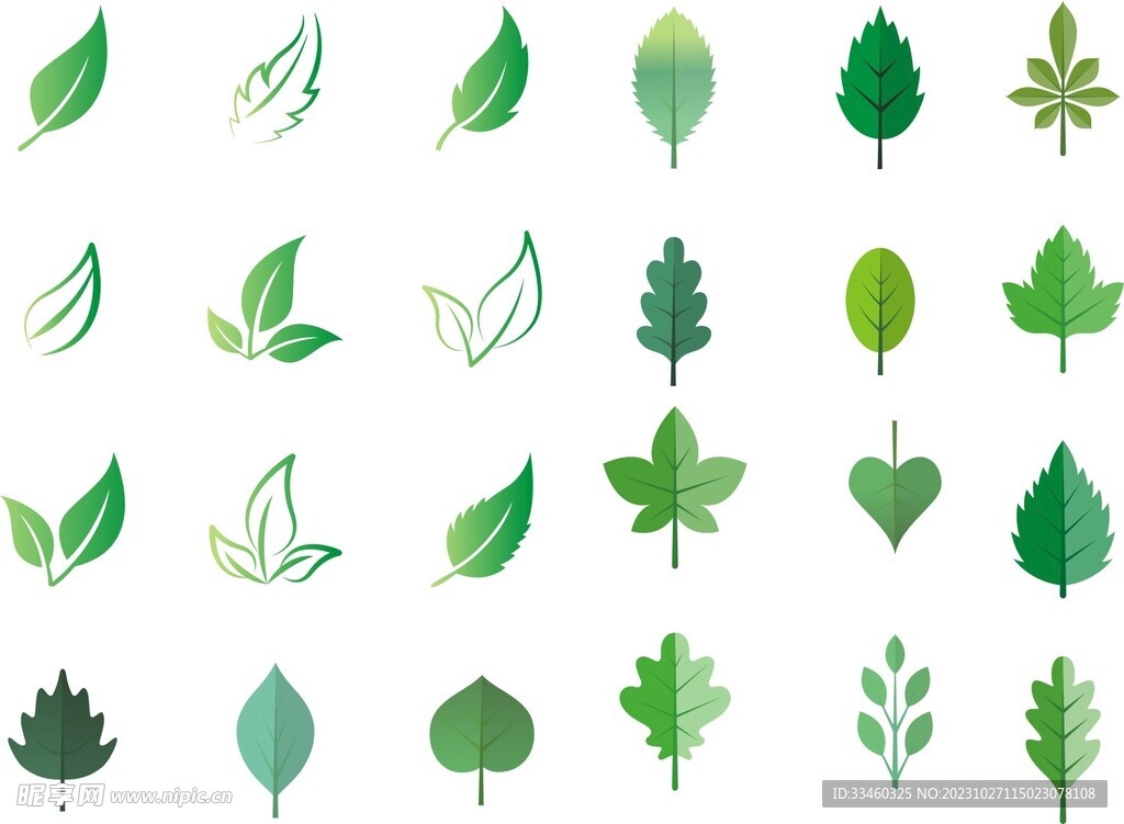 卡通树叶
