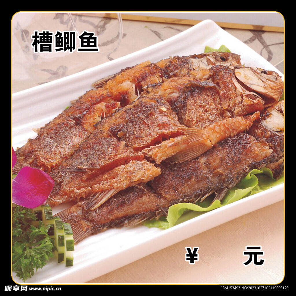槽鲫鱼