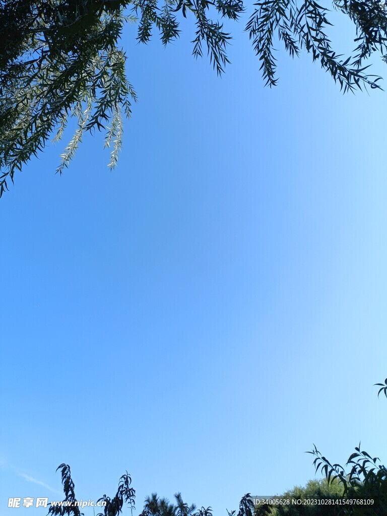 蓝色封面风景