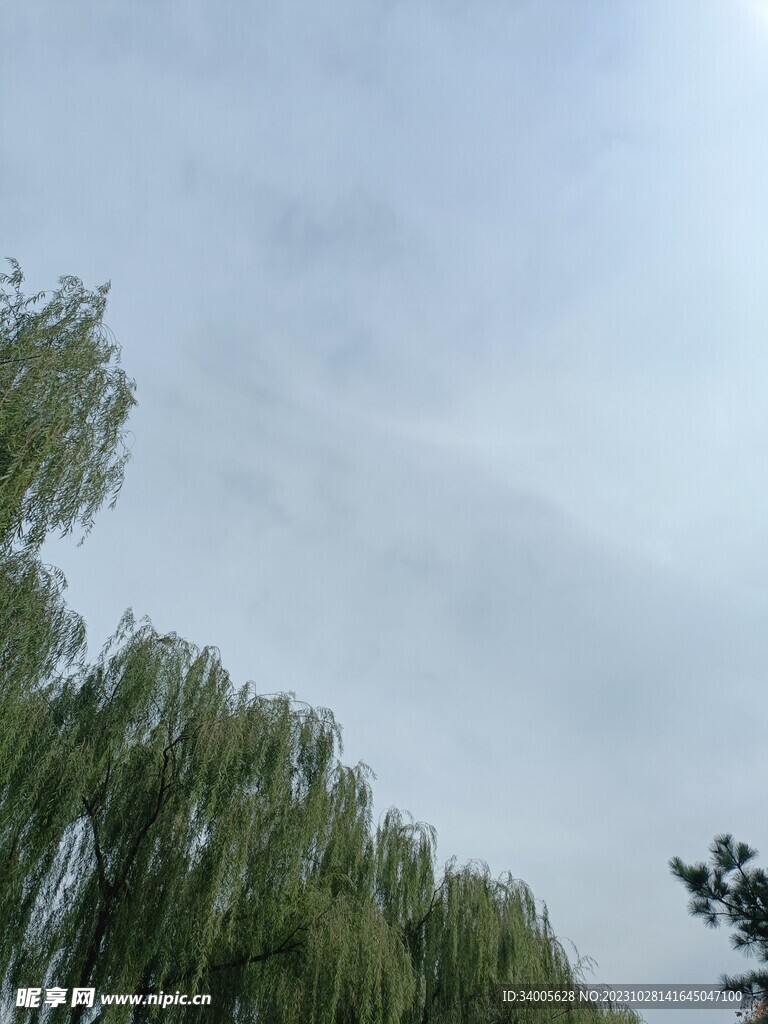 蓝色唯美梦幻背景