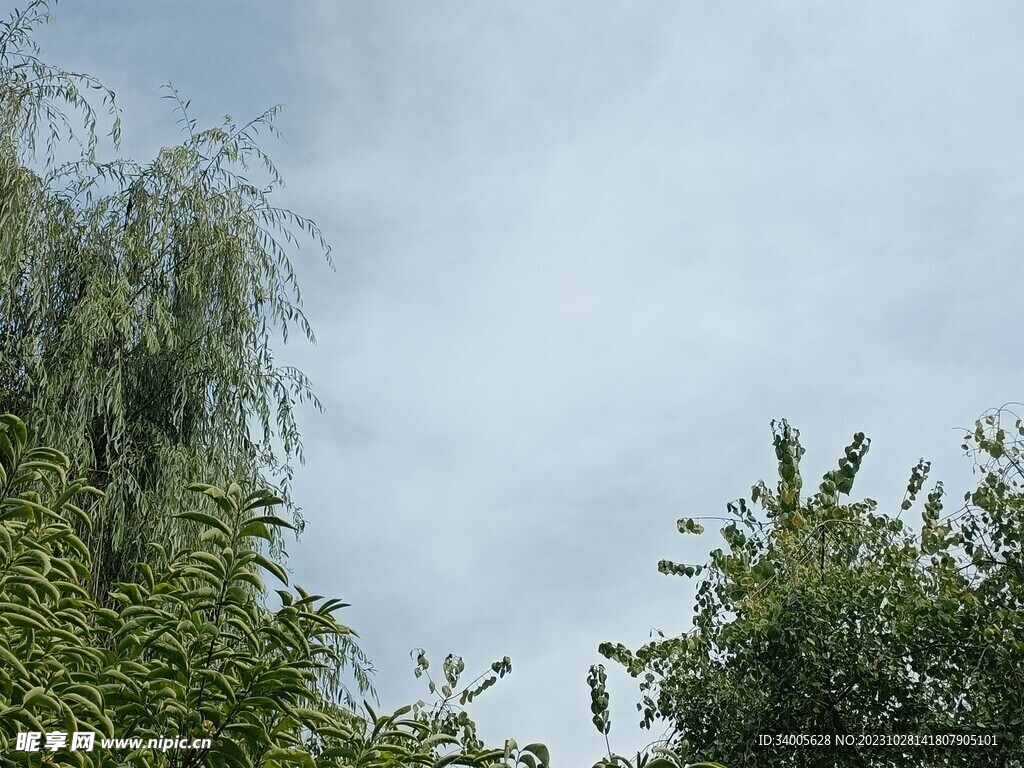 气魄风景图