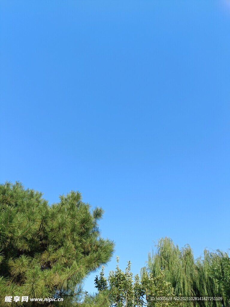 蓝色清新壁纸