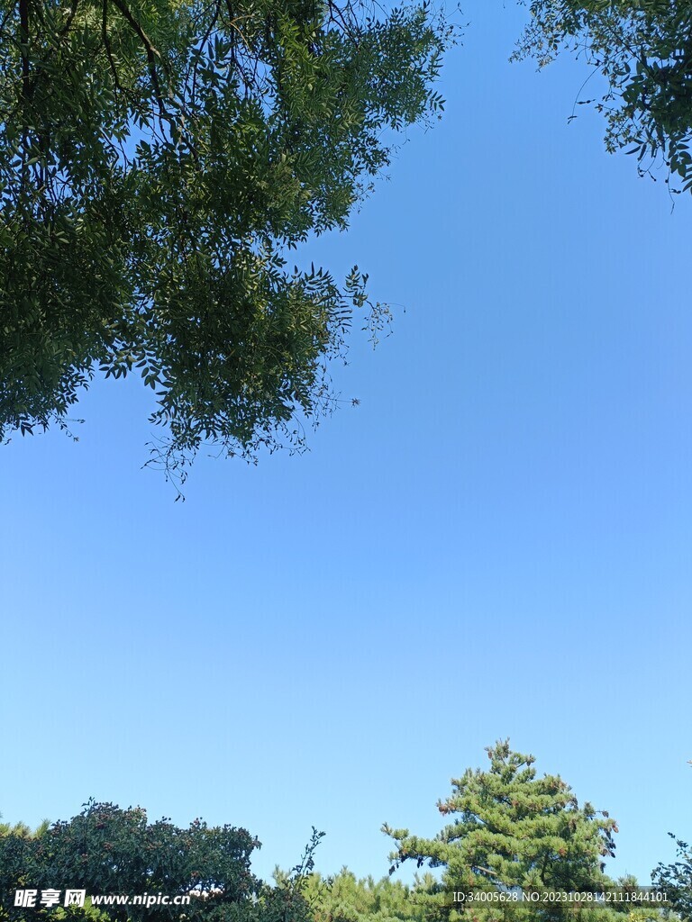 晴朗清新蓝色壁纸