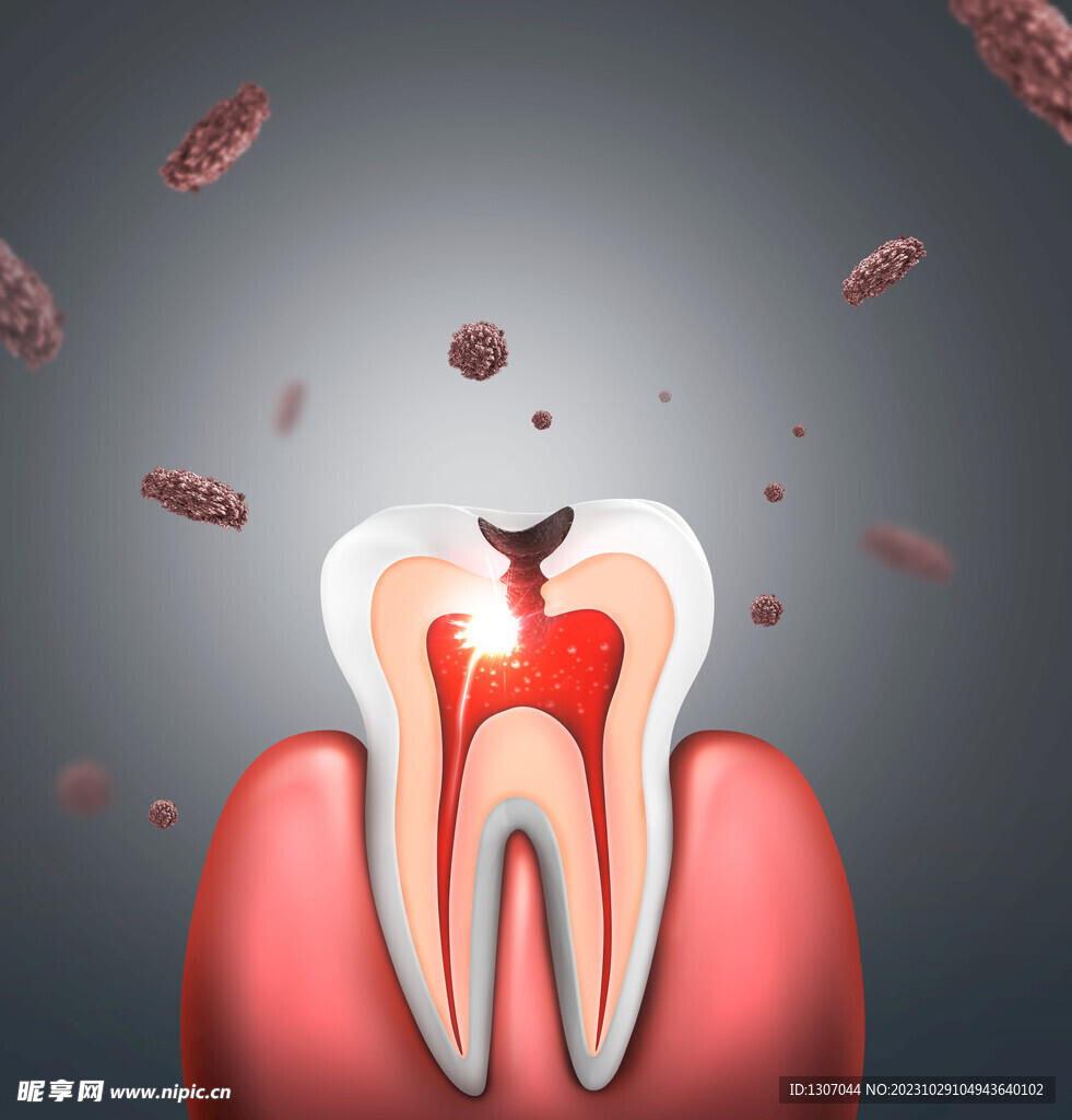 牙齿 模型  口腔 3D  